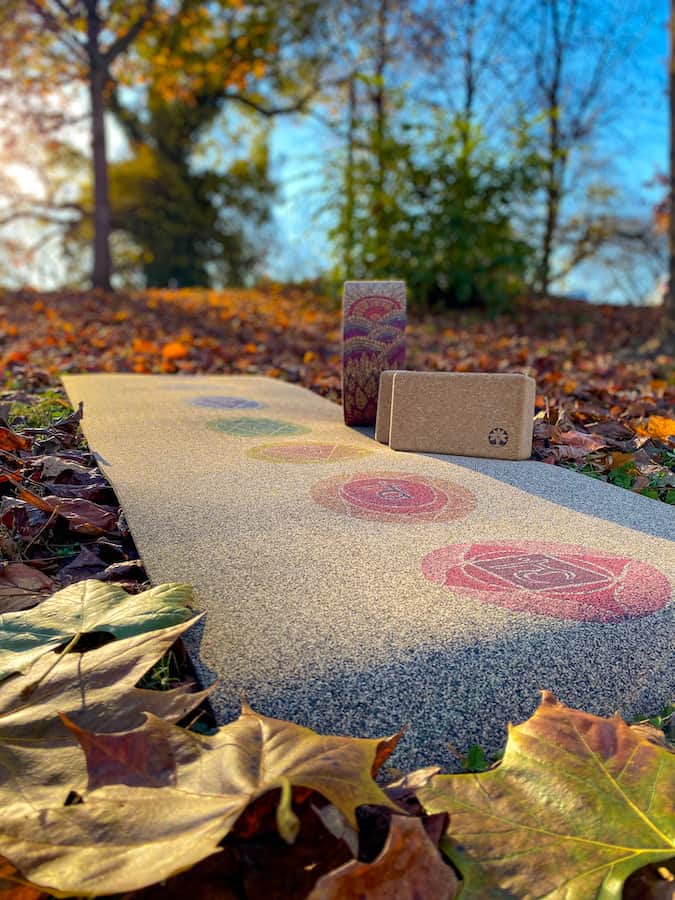 Yoloha Yoga mat, blocks and wheel for assisting in yoga poses.